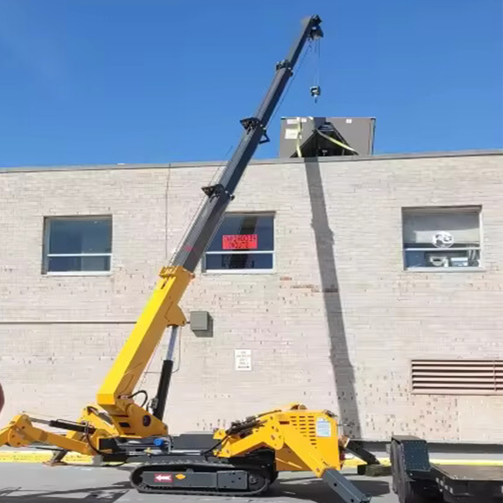 Yellow American Spider Crane Display